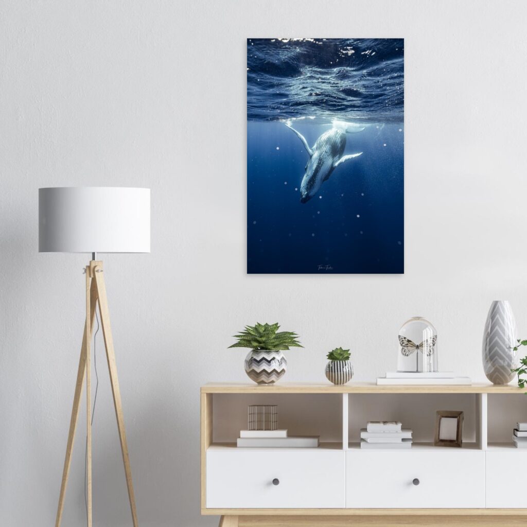 07fbc1cb-1aa0-4af2-9169-e8e902d2c74c