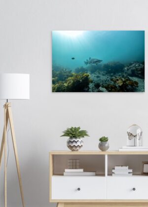 659b5765-5c68-4a84-8f1c-f4da9246e433