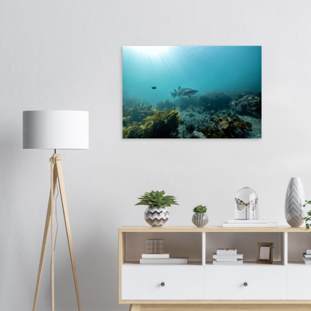 e37911e9-4cc0-40d8-a66c-5b916985fd64