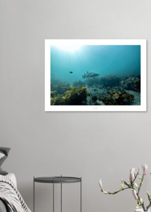 eaa36a87-b48b-4557-a6ad-513655d8ca57