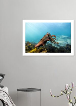 1b754522-9e0f-41d5-9a5c-6b4f23bb6ee2