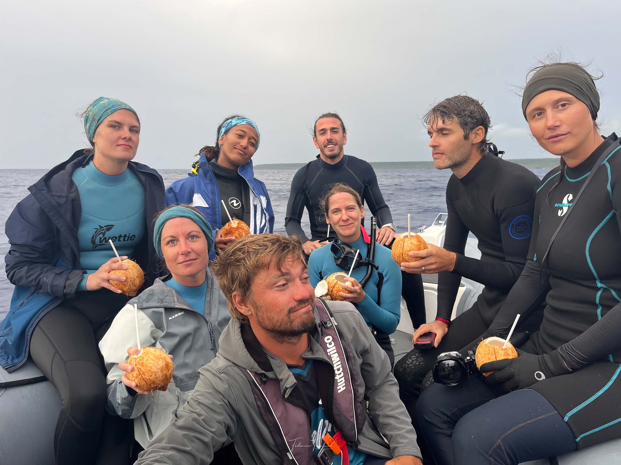 Before swimming with whales