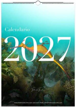Calendario 2027 Natura e Animali